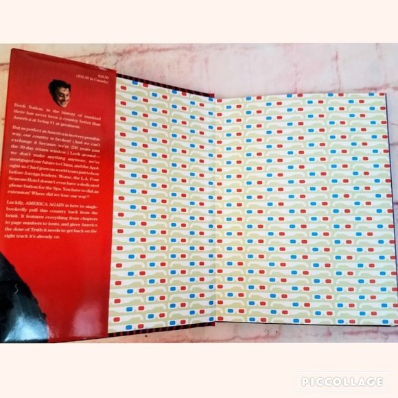 America Again: Re-Becoming the Greatness We Never Weren't - Picture 4 of 8